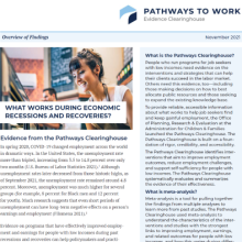 Download What Works During Economic Recessions and Recoveries? Evidence from Pathways to Work
